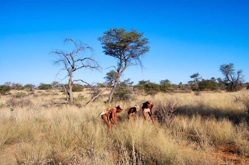 Buschmänner beim Jagdritual, Namibia - ©Michel Angelo - stock.adobe.com