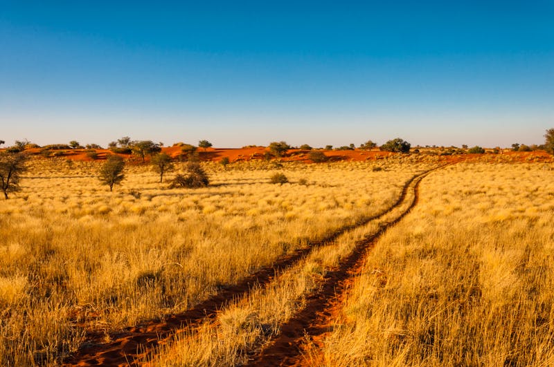 Kalahari bei Sonnenuntergang, Namibia - ©majonit - stock.adobe.com