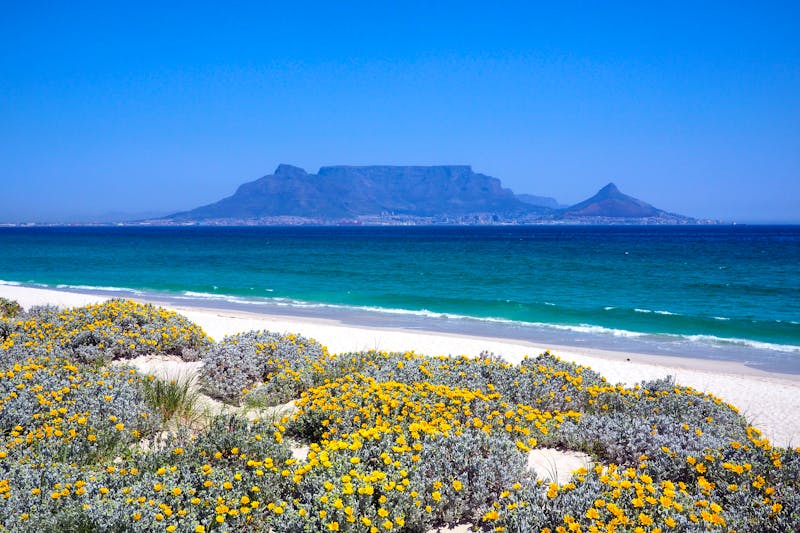 blick vom Strand auf den Tafelberg mit Kapstadt, Südafrika - ©fivepointsix - stock.adobe.com