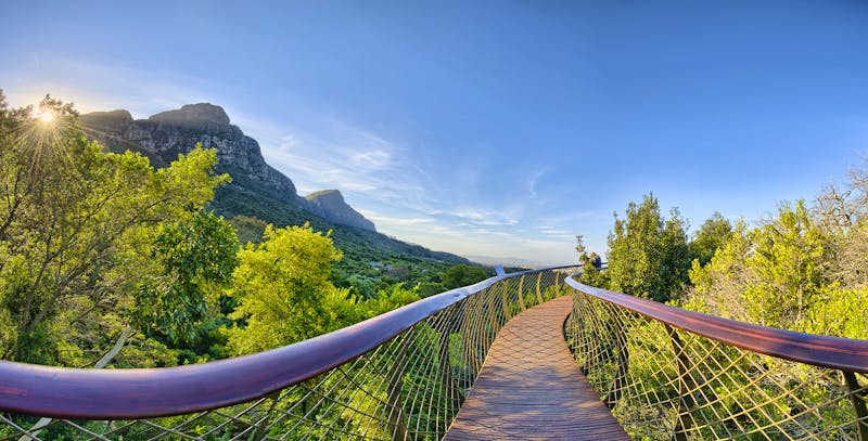 Kirstenbosch Botanischer Garten, Kapstadt, Südafrika - ©softfocusphoto - stock.adobe.com