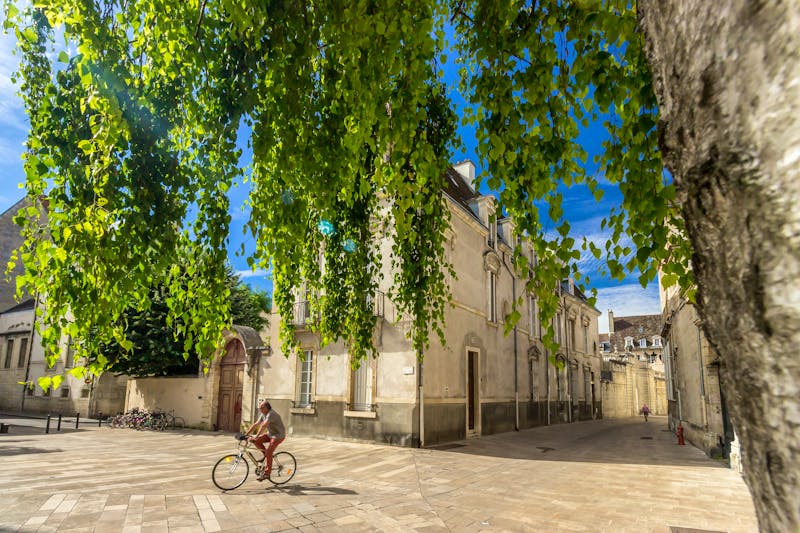 Dijon - Old Town - ©©Max - stock.adobe.com