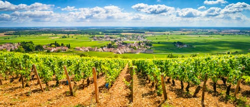 Burgund &ndash; &copy; ©tichr - stock.adobe.com