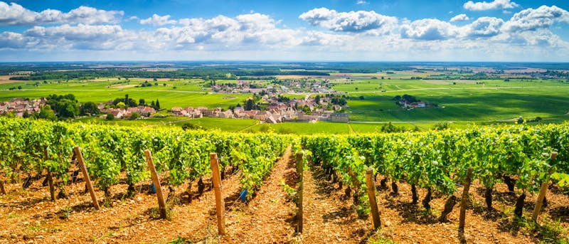 Burgund - ©©tichr - stock.adobe.com