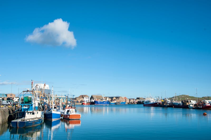 Howth Harbour, County Dublin - ©Failte Ireland