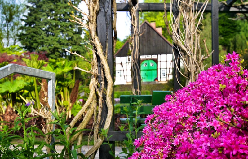 Botanischer Garten  – © Bielefeld Marketing GmbH