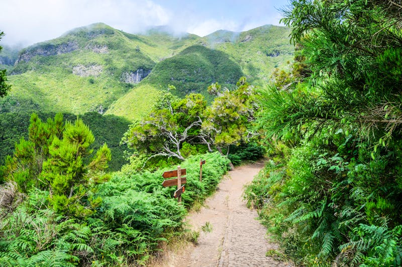 Wanderung im Tal von Rabacal - ©dmaphoto - stock.adobe.com