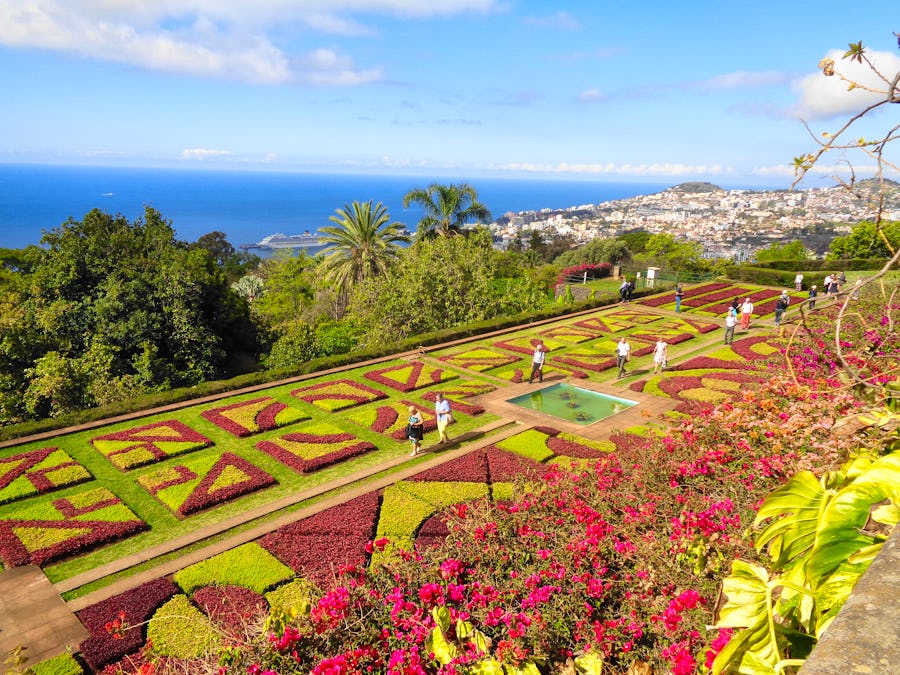 Botanischer Garten in Funchal – © Eberhardt TRAVEL