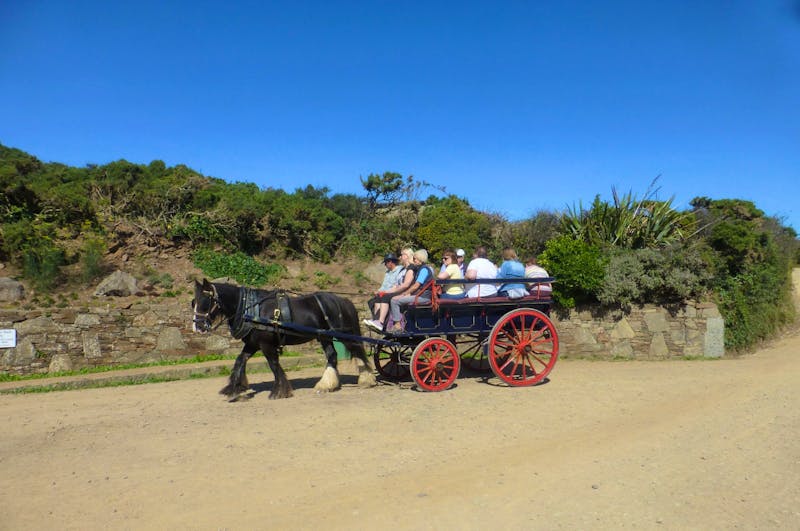 Pferdekutsche auf der Insel Sark - ©Eberhardt TRAVEL