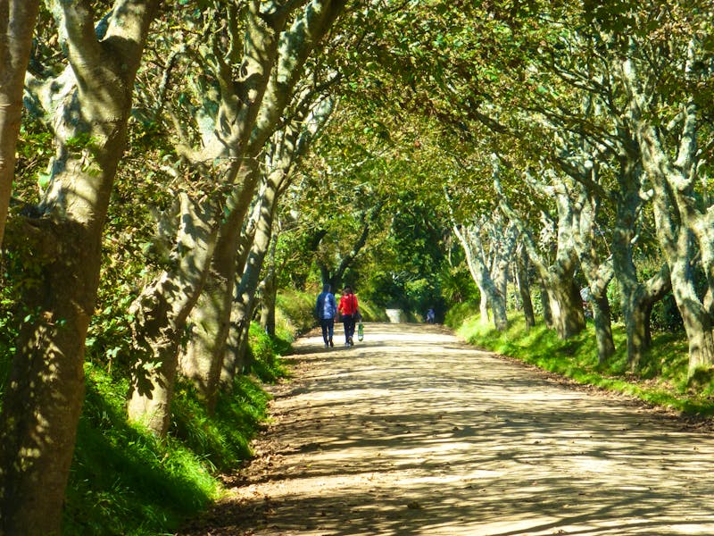 Wanderweg zur Seigneurie auf der Insel Sark - ©Eberhardt TRAVEL