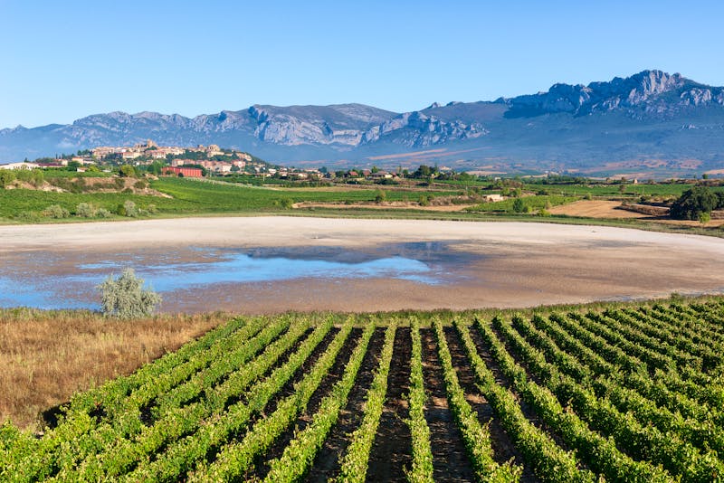 Weinregion La Rioja bei Laguardia  - ©©Noradoa - stock.adobe.com