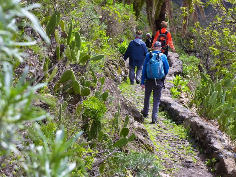 Wanderung bei Alajero auf La Gomera - ©Eberhardt TRAVEL