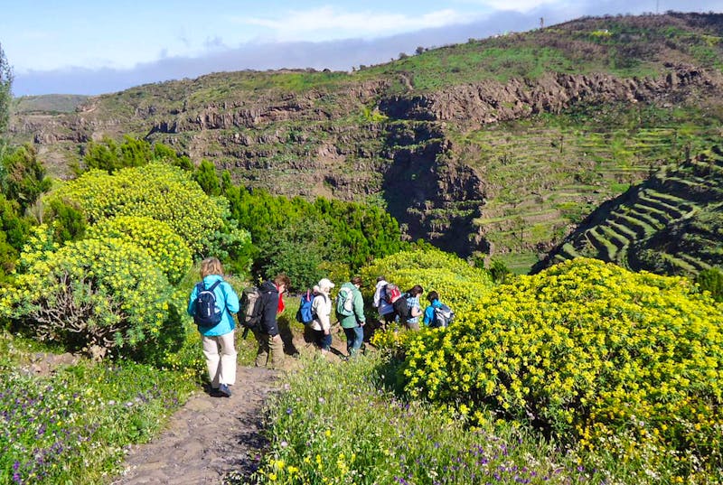 Wanderung zum Töpferdorf El Cercado auf La Gomera - ©Eberhardt TRAVEL