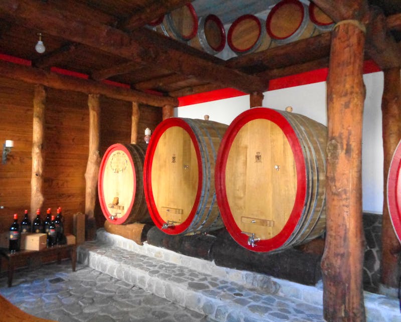 Nationalpark Cilento - Weingut Marino, Agropoli - ©Martina Häselbarth