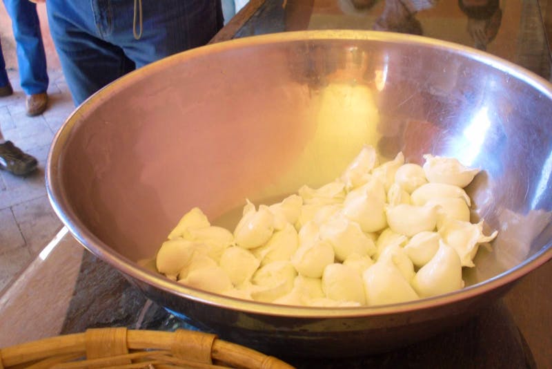 Büffelfarm Vannulo (Verkostung von Mozzarella) - ©Katrin Deutschbein
