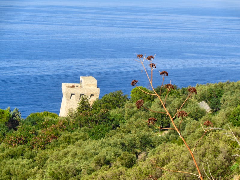 Sorrentinische Halbinsel - Wanderung Punta Campanella  - ©Martina Häselbarth
