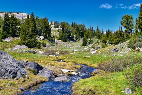 Rocky Mountains Elkhart Park &ndash; &copy; ©Jeremy - stock.adobe.com