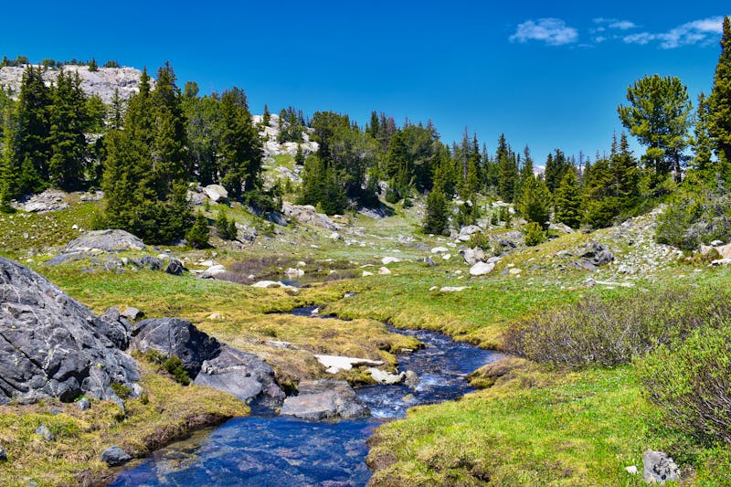 Rocky Mountains Elkhart Park - ©©Jeremy - stock.adobe.com