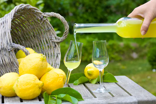 Limoncello und Zitronen &ndash; &copy; gudrun - stock.adobe.com