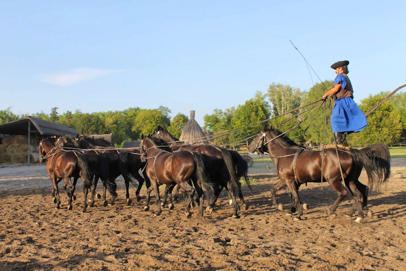 Reitershow in der Puszta - ©Eberhardt TRAVEL - Jacob Spangenberg