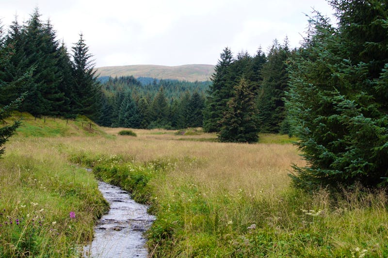 Carron Valley Reservoir  - ©Andreas Böcker