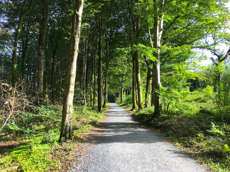 Wanderung im Coole Park - ©Andreas Wolfsteller