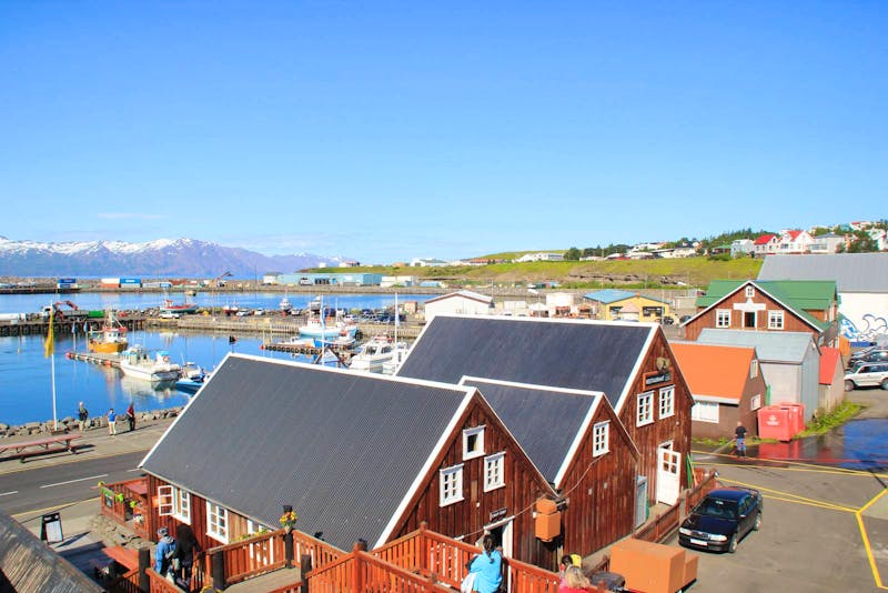 Island - Husavik Hafen - ©Franziska Bergmann