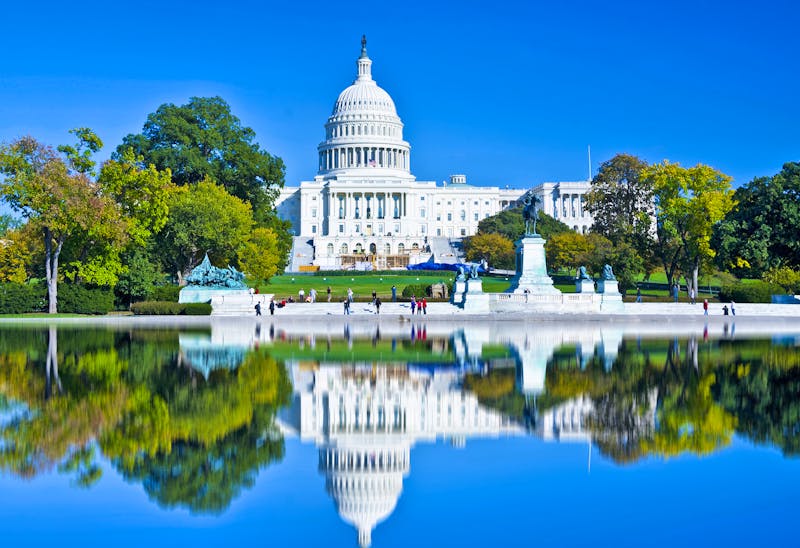 Capitol in Washington DC - ©©surangaw - stock.adobe.com