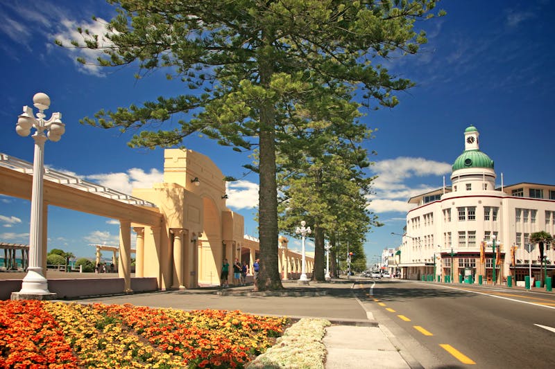Napier - ©Joelle M - stock.adobe.com