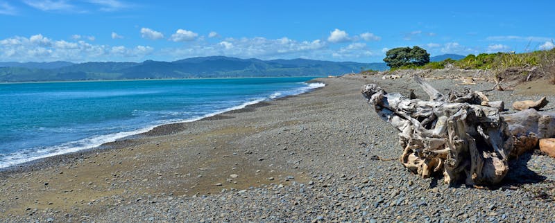 Kapiti Island Bird Sanctuary Beach Panorama - ©NigelSpiers - stock.adobe.com