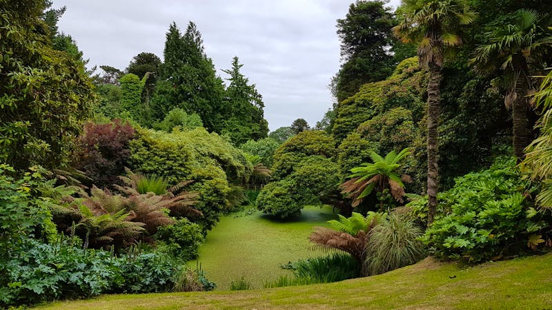 Lost Gardens of Heligan - ©Marlies Thrum