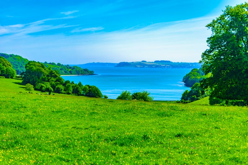Trelissick Garden, Cornwall - ©Trent – Adobe Stock