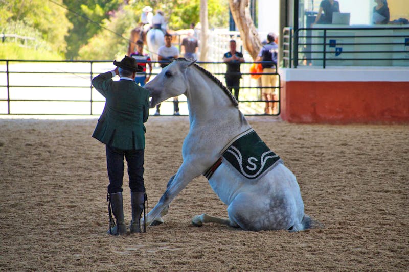 Pferde-Show in Andalusien - ©Eberhardt TRAVEL - Andreas Böcker