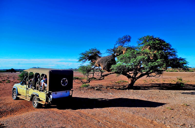 Sundowner-Fahrt in die Kalahari - ©Eberhardt TRAVEL - Annett Müller