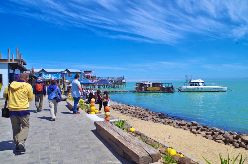 Auf zur Bootsfahrt in Walvis Bay - ©Eberhardt TRAVEL - Annett Müller