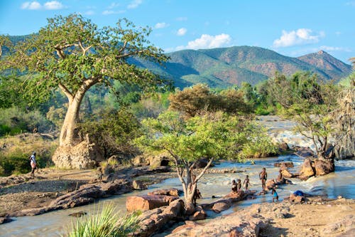 Ausflug ins Kaoko Land in Namibia &ndash; &copy; ©alex - stock.adobe.com