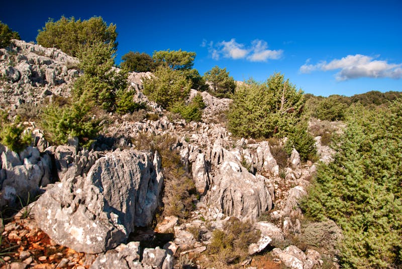 Orgosolo - ©©Alessio Orrù - stock.adobe.com