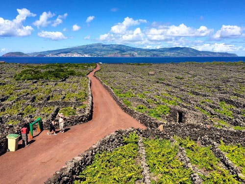 Wanderweg auf der Azoren-Insel Pico &ndash; &copy; Eberhardt TRAVEL