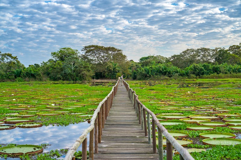 Wasserlandschaft im Panantal - ©©F.C.G. - stock.adobe.com