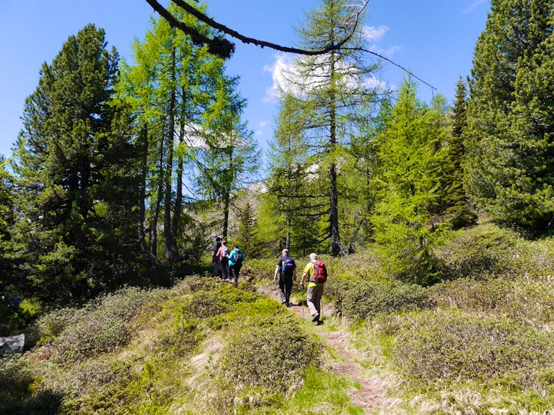 Wanderweg zum Lago delle Malghette - ©Eberhardt TRAVEL