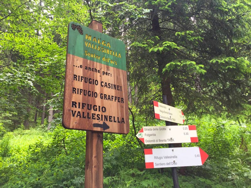 Wanderung zu den Vallesinella-Wasserfällen im Adamello Brenta Naturpark - ©Eberhardt TRAVEL