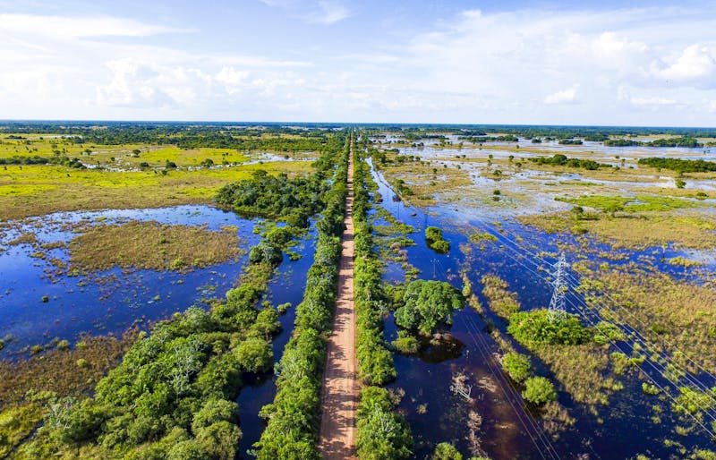 Fahrt ins Pantanal - Brasilien - ©Luiz Felipe Puntel - Adobe Stock
