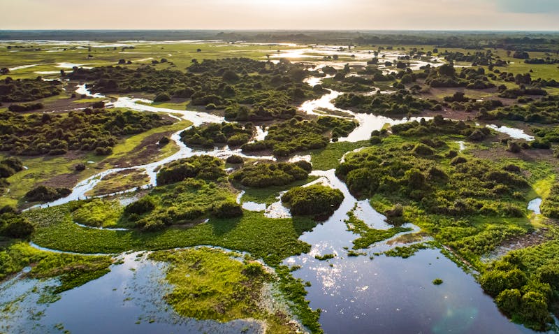 Wasserlandschaft des Pantanal in Brasilien - ©Uwe Bergwitz - Adobe Stock
