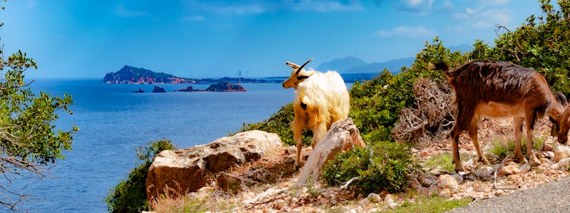Küste bei Arbatax - Sardinien - ©©Copula - stock.adobe.com