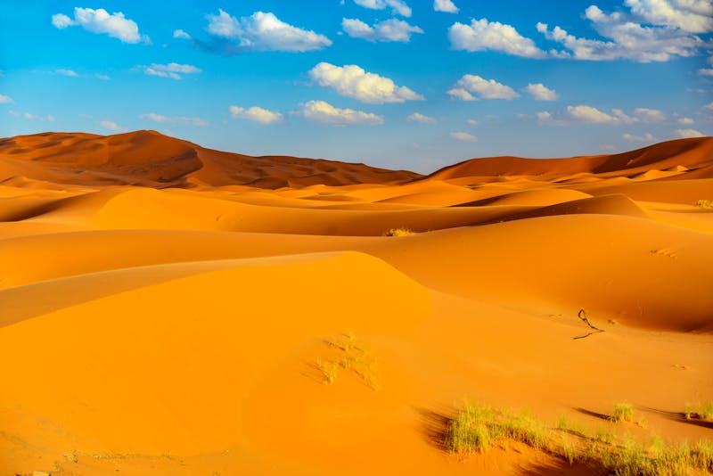 Sahara Sanddünen bei Erfoud in Marokko - ©©Marc Jedamus - stock.adobe.com