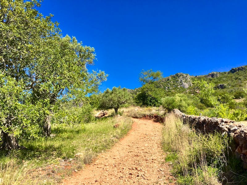 Wanderung zum Rocha da Pena - ©Eberhardt TRAVEL