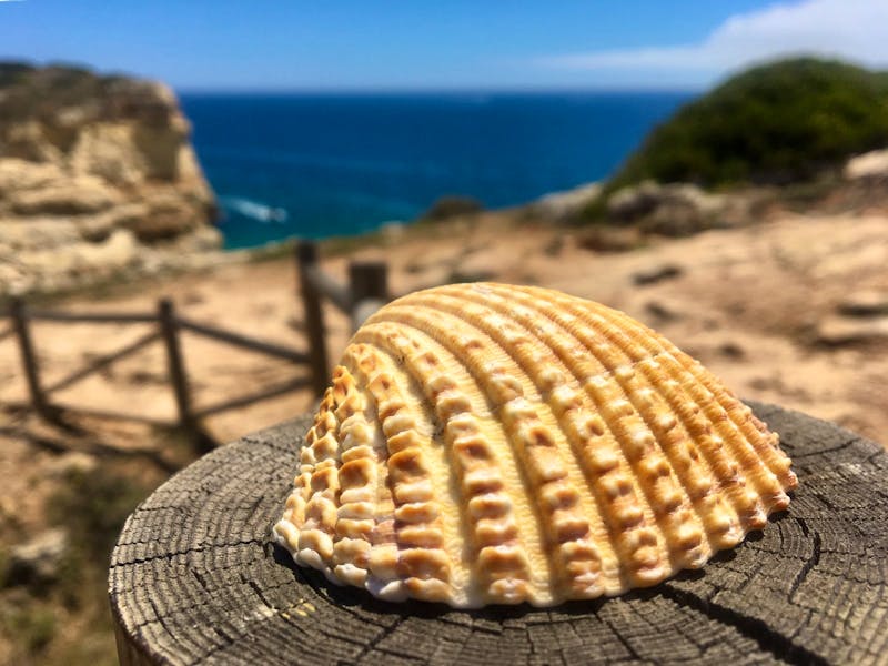 Küstenwanderung an der Algarve - ©Eberhardt TRAVEL