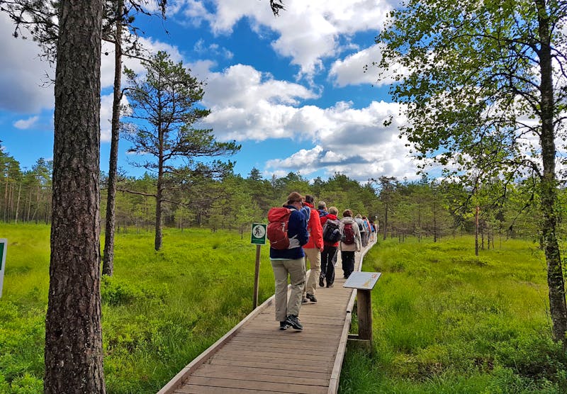 Wanderung im Lahemaa-Nationalpark - Estland - ©Eberhardt TRAVEL - Ria Heilmann