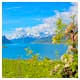 Hardangerfjord in Norwegen – © ©Kjersti - stock.adobe.com