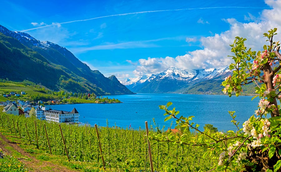 Hardangerfjord in Norwegen – © ©Kjersti - stock.adobe.com
