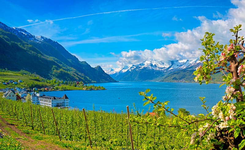 Hardangerfjord in Norwegen - ©©Kjersti - stock.adobe.com